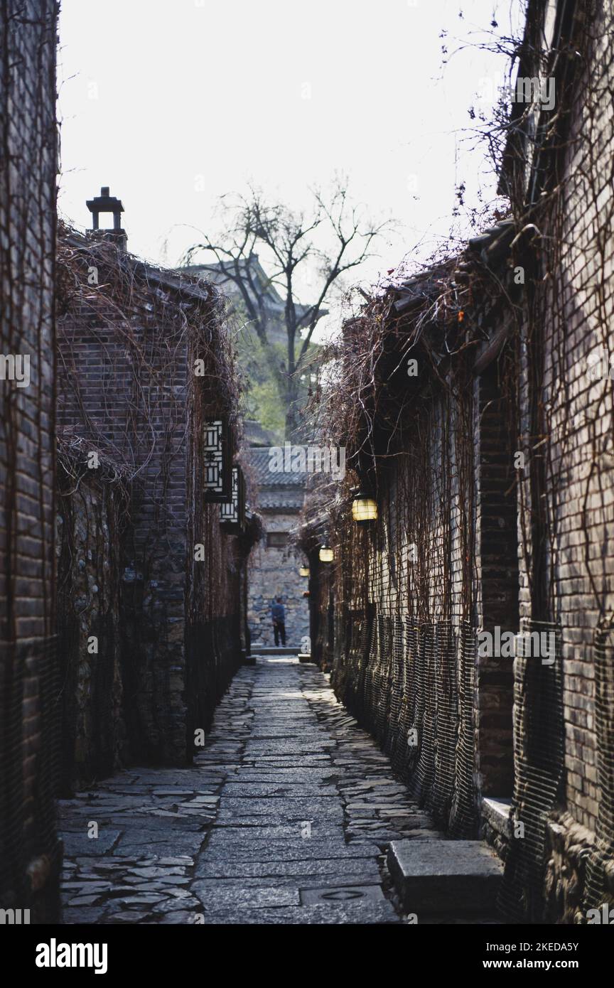 A vertical shot of old narrow street between brick houses covered by ...