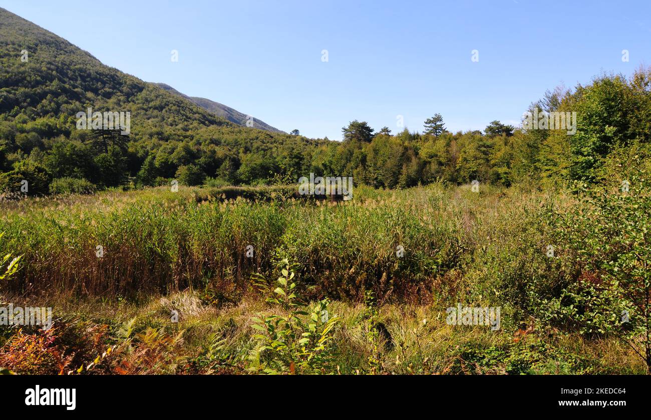Small bottomless lake - Yalova - TURKEY Stock Photo