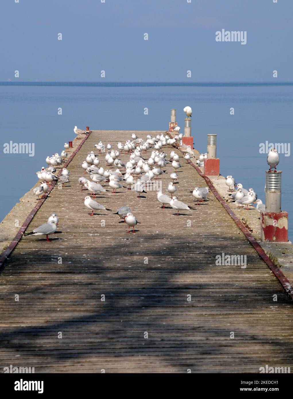 Yalova TURKEY Stock Photo Alamy