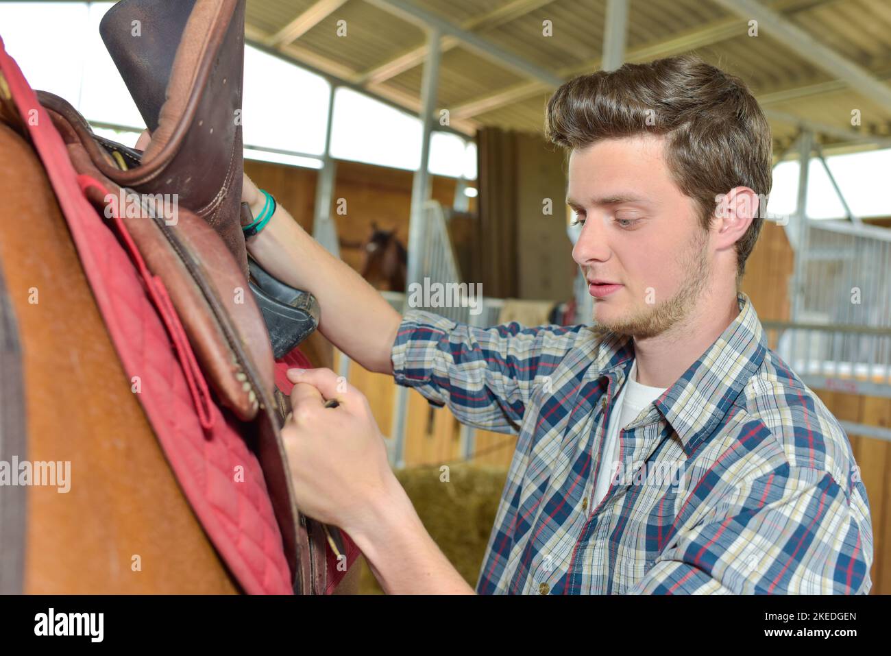 stable boy taking care of his horse Stock Photo Alamy