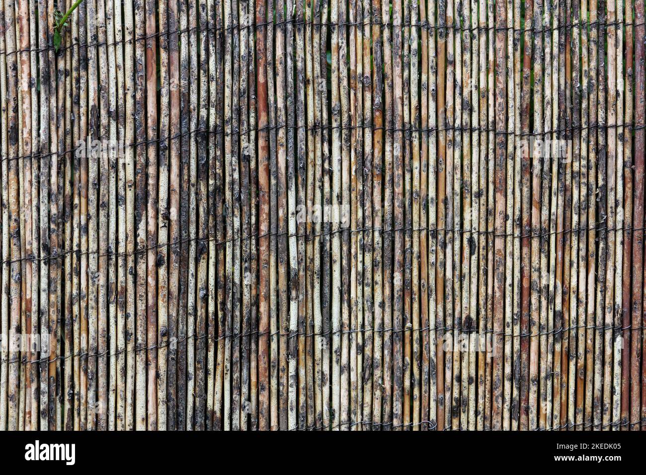 straw fence texture Stock Photo