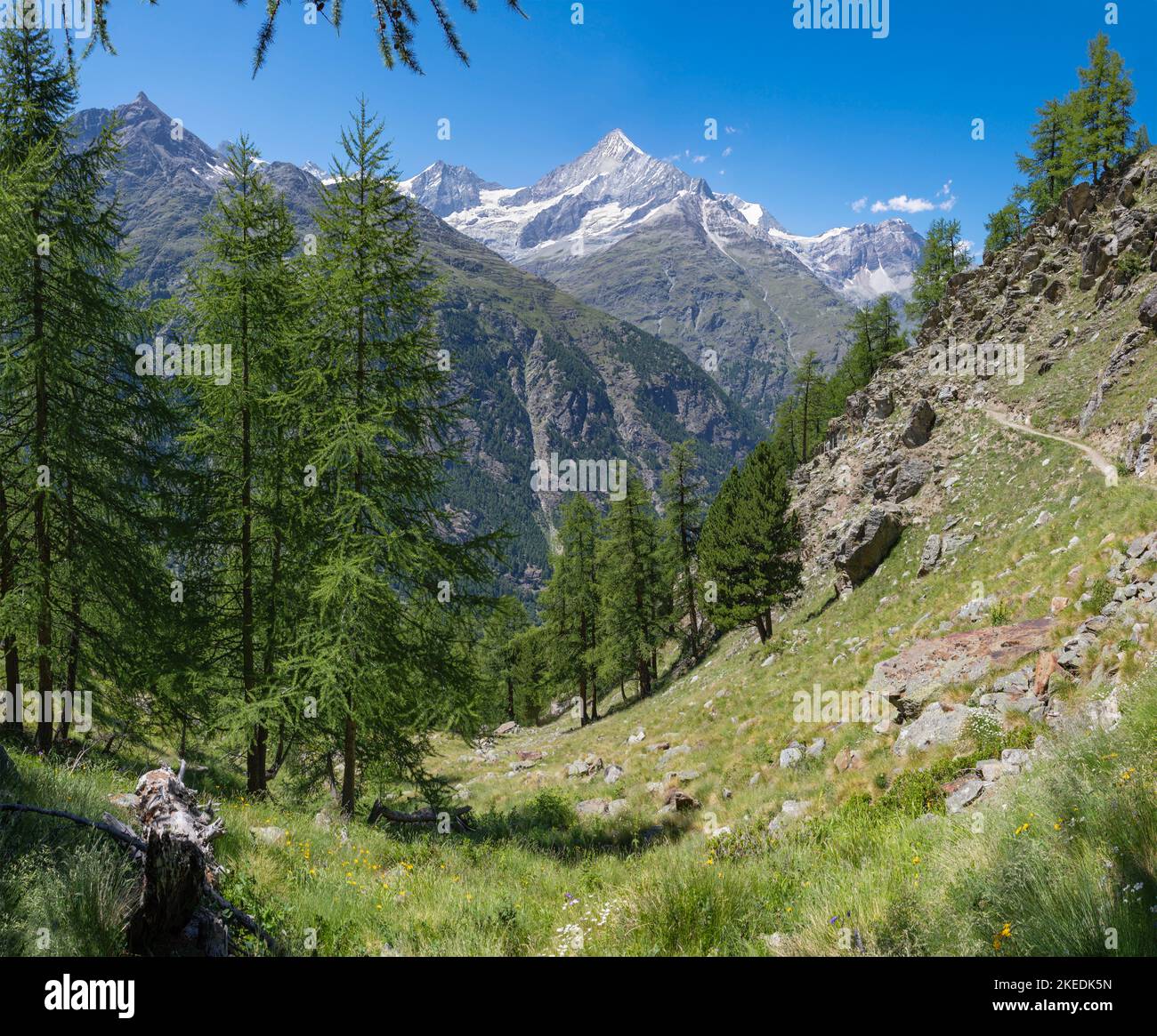 The Walliser alps peaks Bishorn, Weisshorn, Schalihorn, and Rothorn