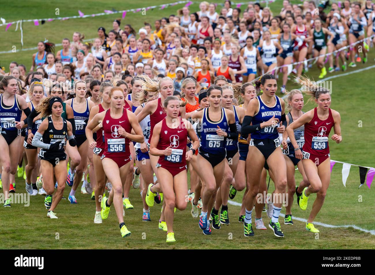 Stanford university athletics hires stock photography and images Alamy