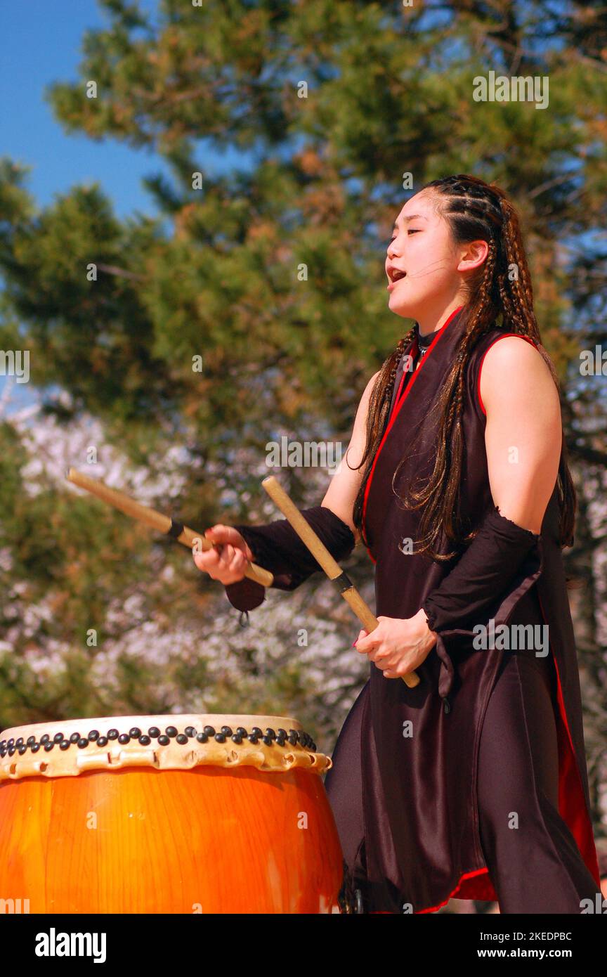 A young Japanese woman demonstrates the ancient and traditional taiko drumming techniques at a sakura cherry blossom festival Stock Photo