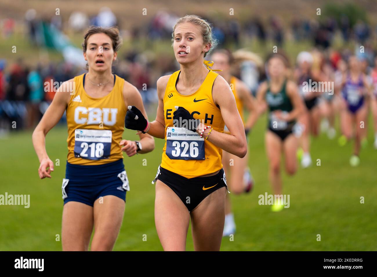 University Place, USA. 11th Nov, 2022. Ryley Fick of Long Beach State competes in Women's race at 2022 NCAA Cross Country West Regional. Credit: Zhengmu Wang/Alamy Live News Stock Photo