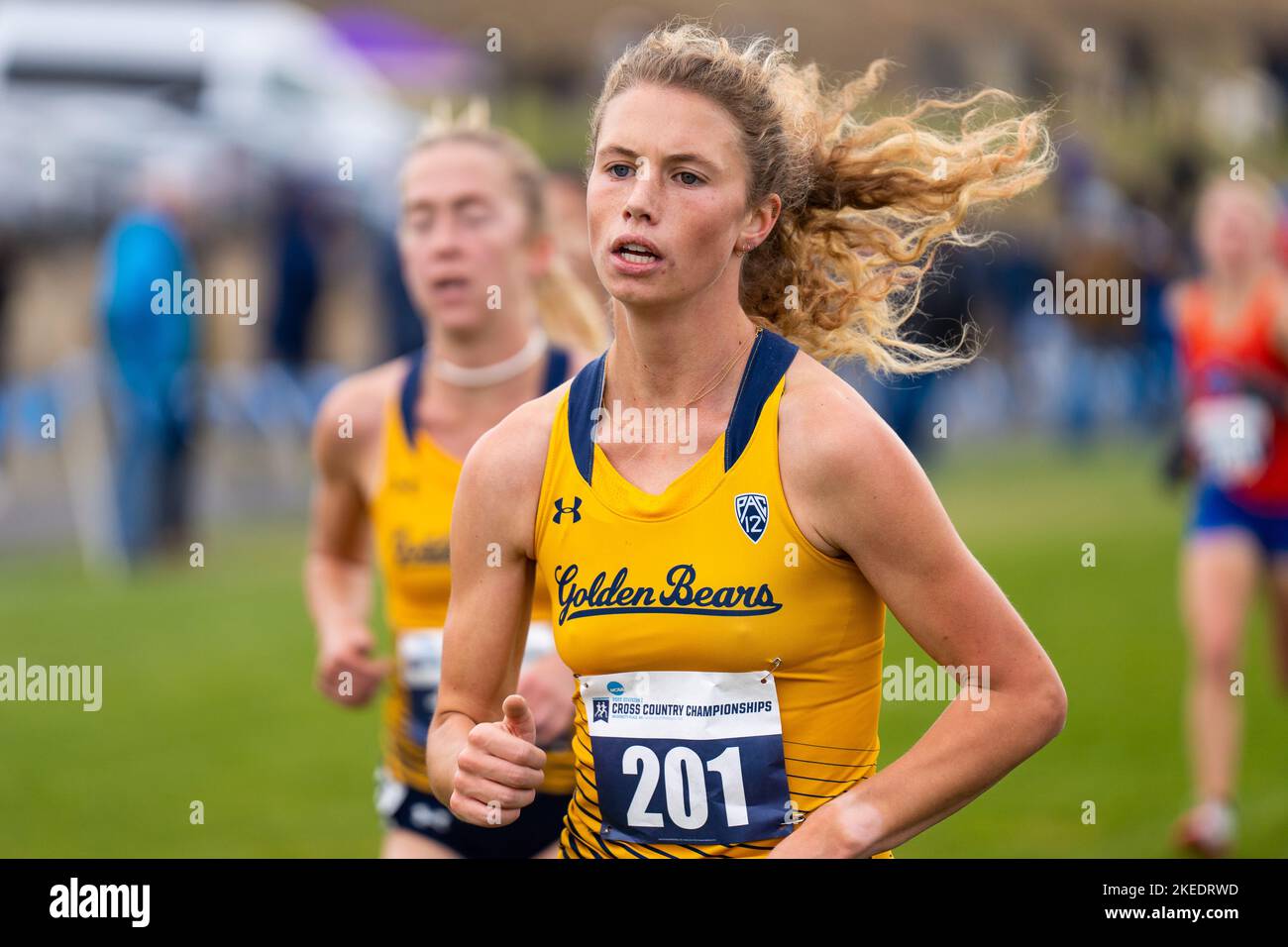 University Place, USA. 11th Nov, 2022. Claire Yerby of the California Golden Bears competes in Women's race at 2022 NCAA Cross Country West Regional. Credit: Zhengmu Wang/Alamy Live News Stock Photo