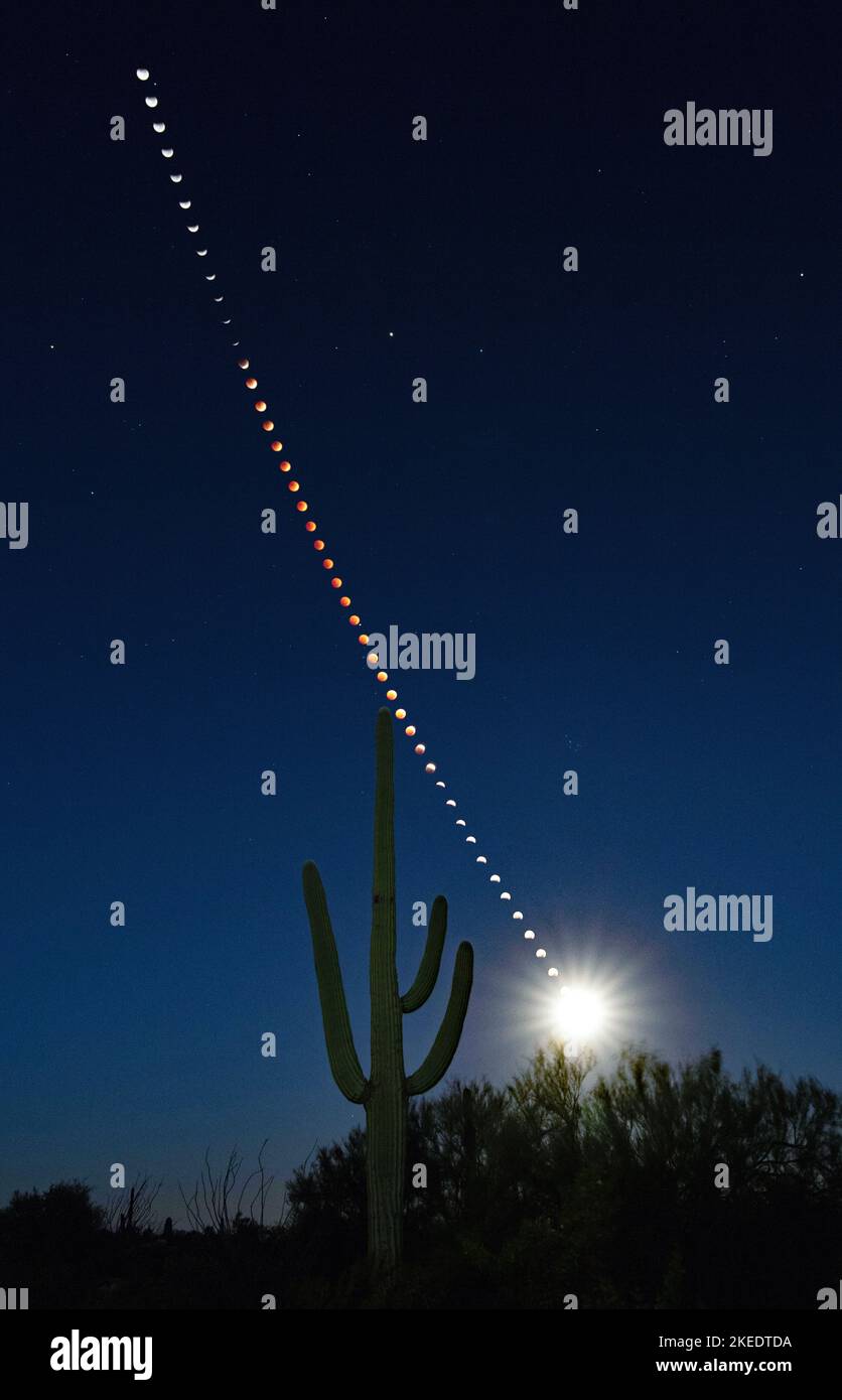 Total Lunar Eclipse Composite Sequence With A Saguaro Cactus Stock ...