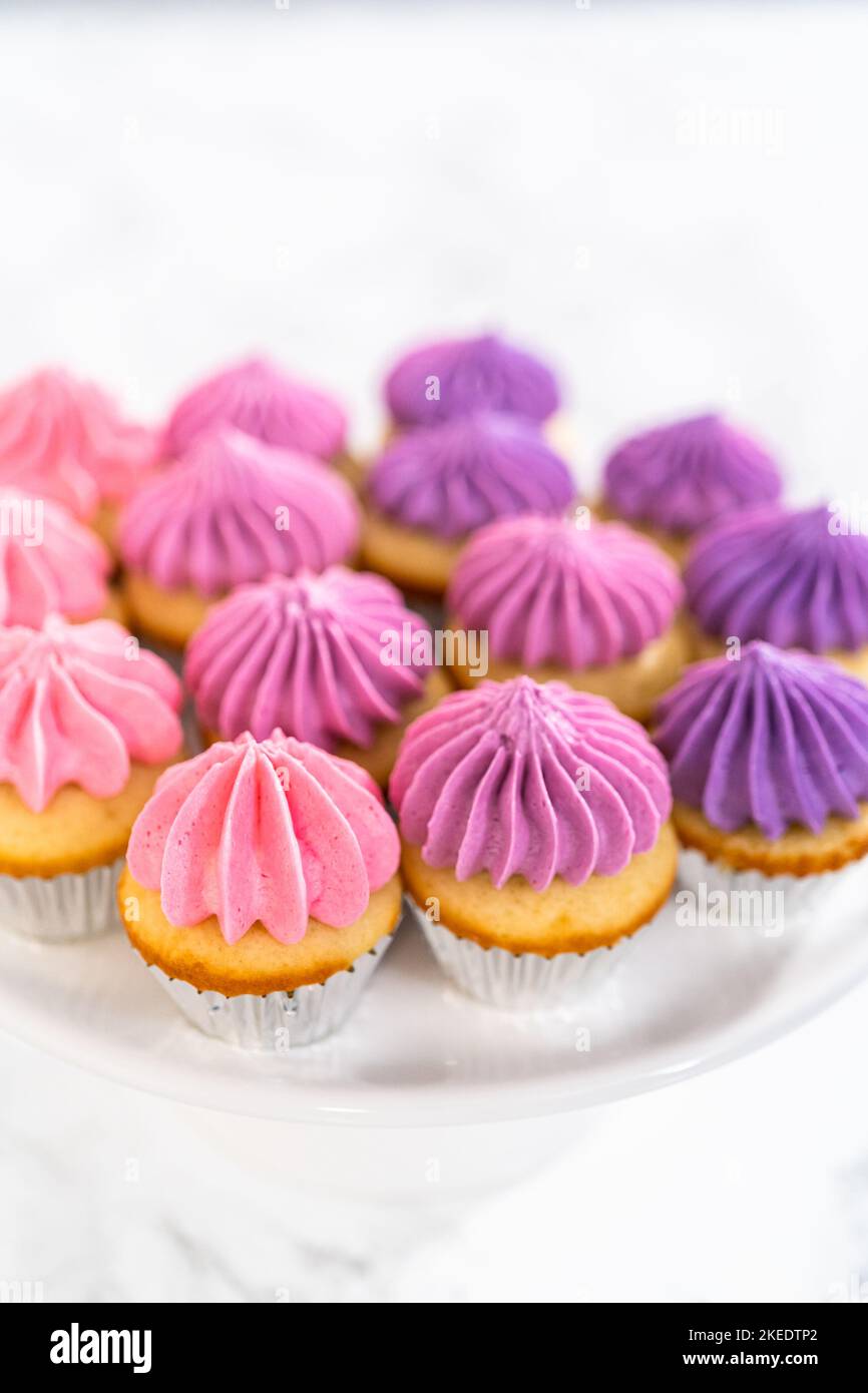 Mini Vanilla Cupcakes with Pink Buttercream Frosting Stock Photo - Alamy