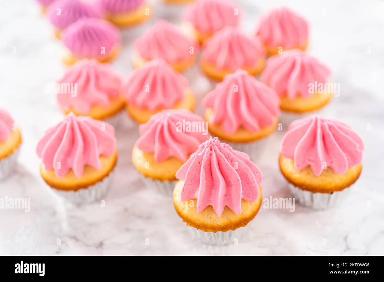 Mini Vanilla Cupcakes with Pink Buttercream Frosting Stock Photo - Alamy