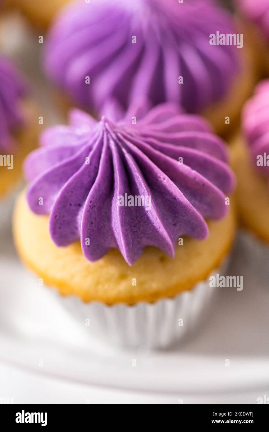 Mini Vanilla Cupcakes with Pink Buttercream Frosting Stock Photo - Alamy