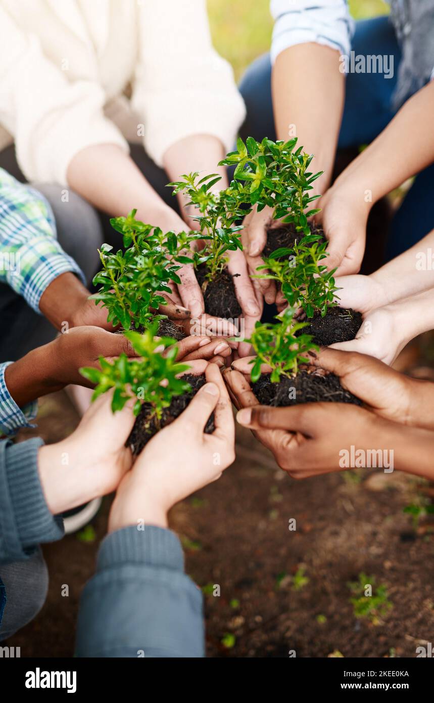 Plants that dont grow in soil hires stock photography and images Alamy