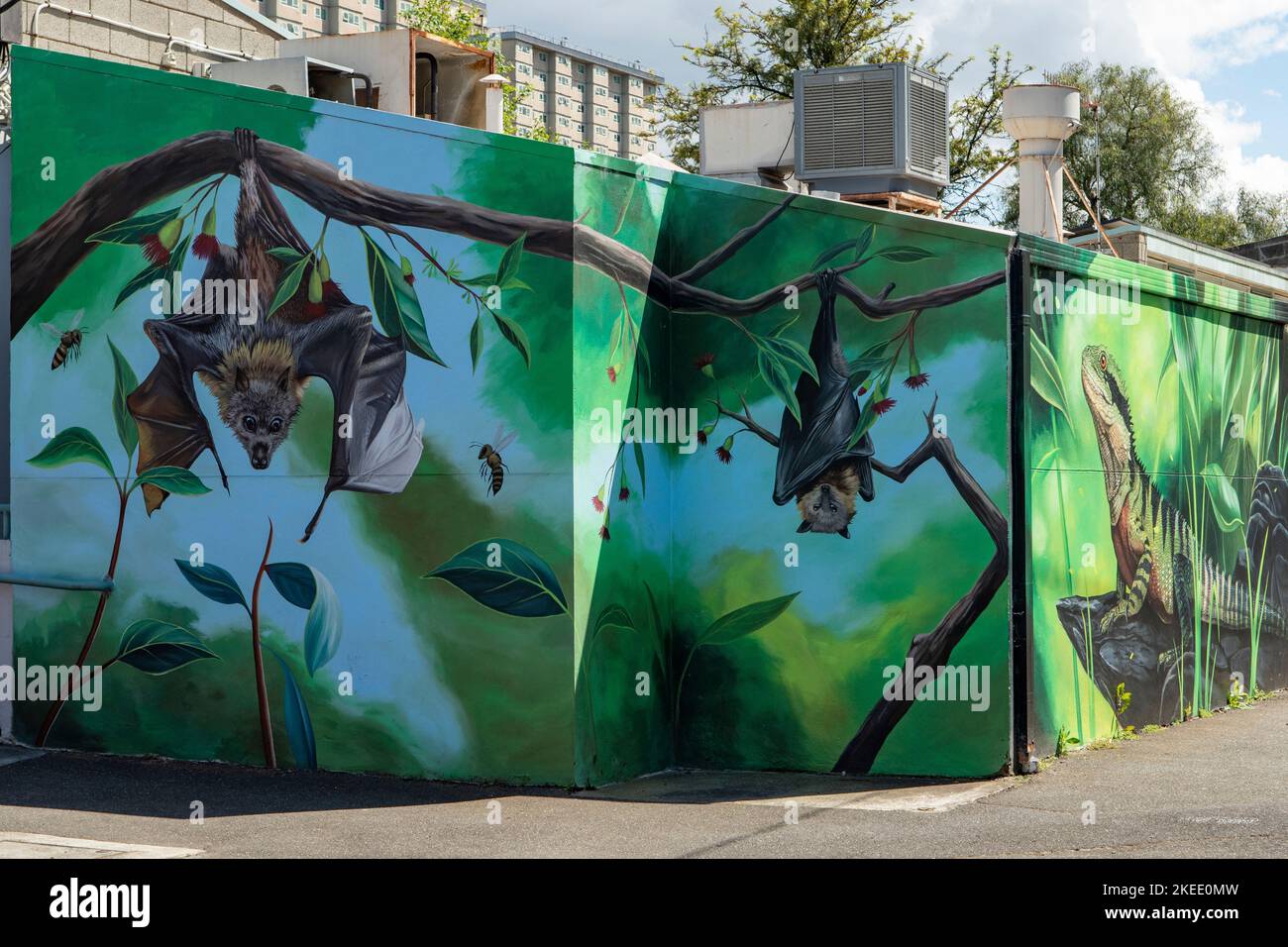 Fruit Bats Street Art, Collingwood, Melbourne, Victoria, Australia Stock Photo