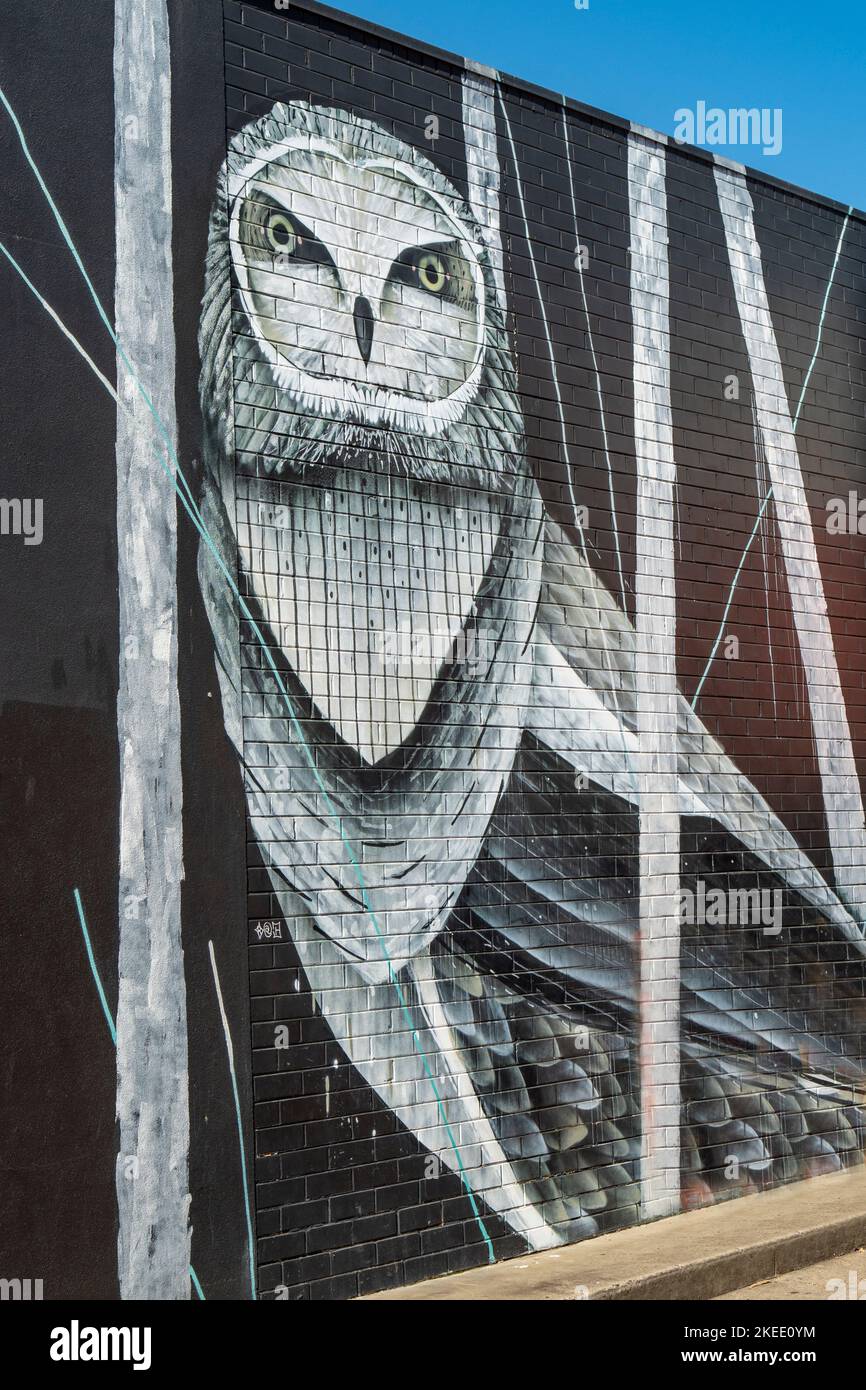 Owl Street Art, Brunswick, Melbourne, Victoria, Australia Stock Photo