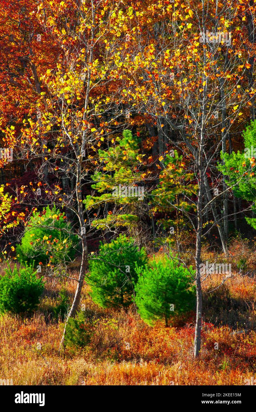 National patk service hires stock photography and images Alamy