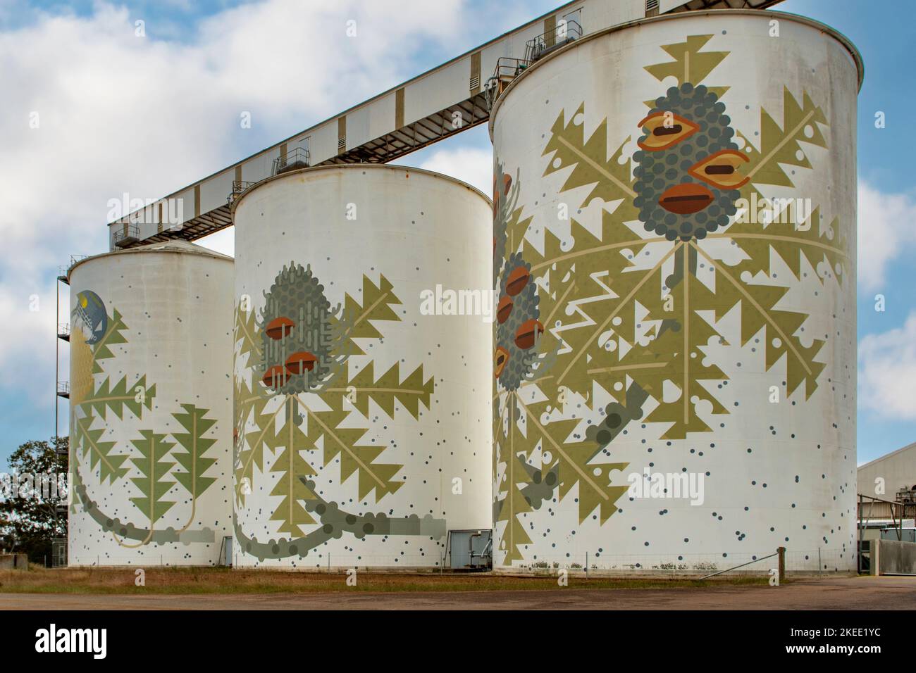 Banksia Silo Art, Ravensthorpe, WA, Australia Stock Photo Alamy
