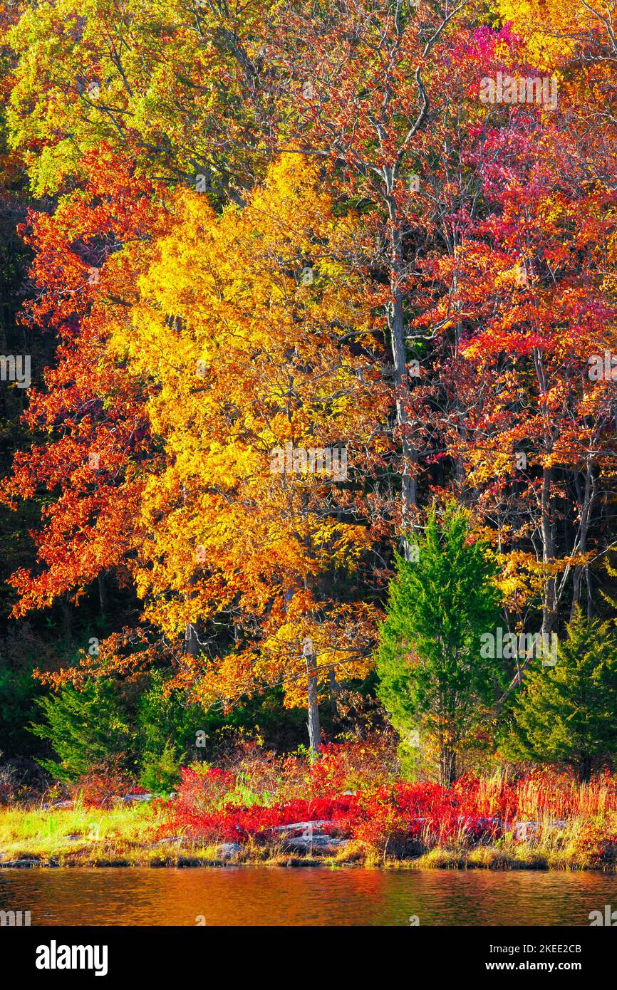 Blue mountain lake hi-res stock photography and images - Alamy