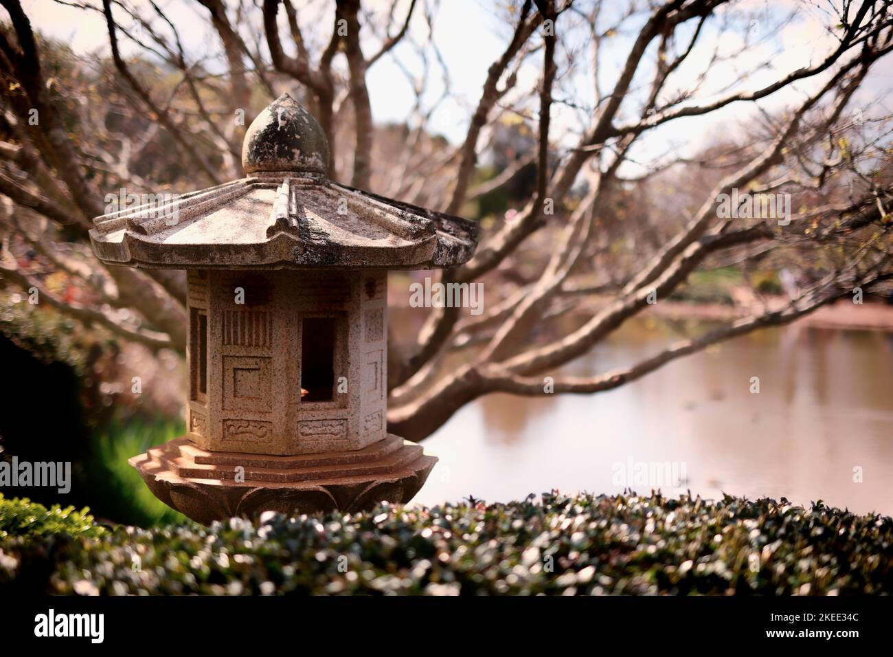 Scenic Japanese Garden in Toowoomba Stock Photo Alamy