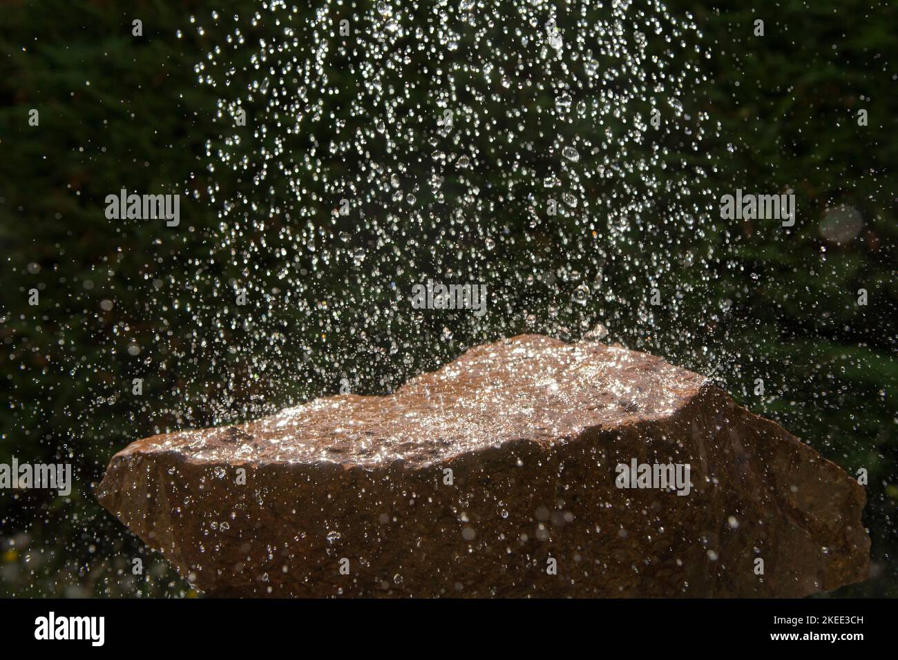 Rain drops falling on a rock Stock Photo Alamy