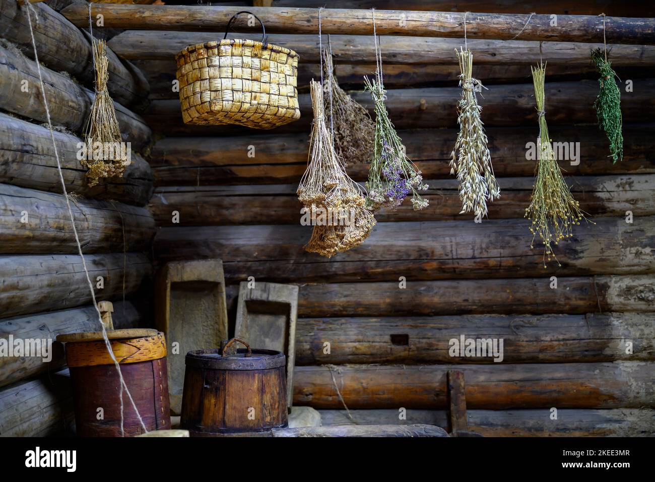 Medicinal herbs are dried in the interior of the summer kitchen of a wooden house built in 1912 in a Siberian village Stock Photo