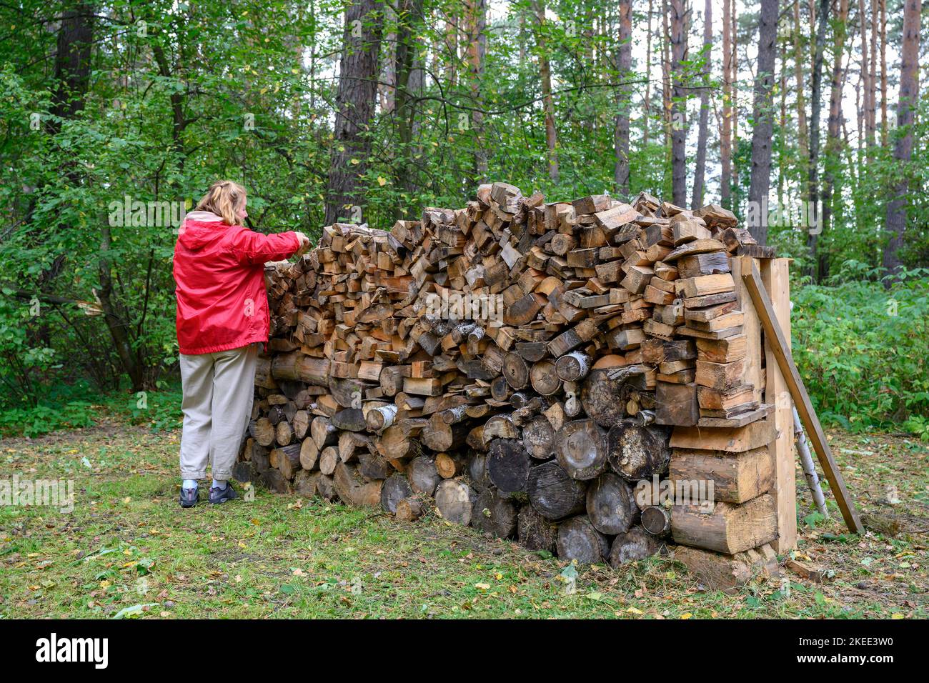 A European woman next to a woodpile in a clearing among trees in autumn Stock Photo