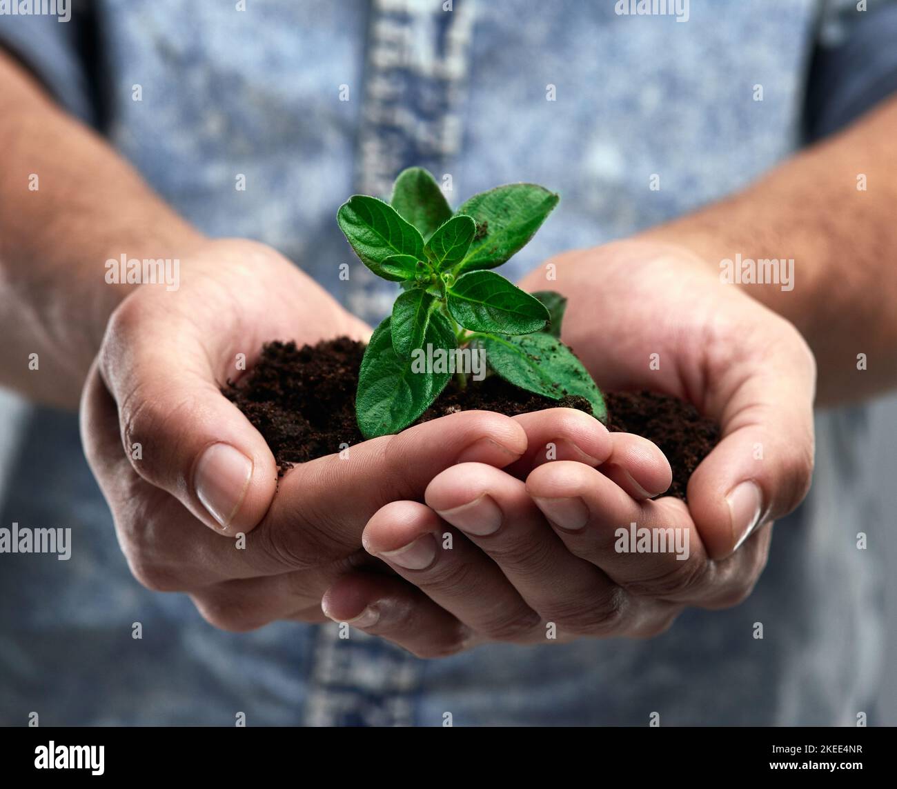 Growth is testament to life. a man holding a plant growing out of soil
