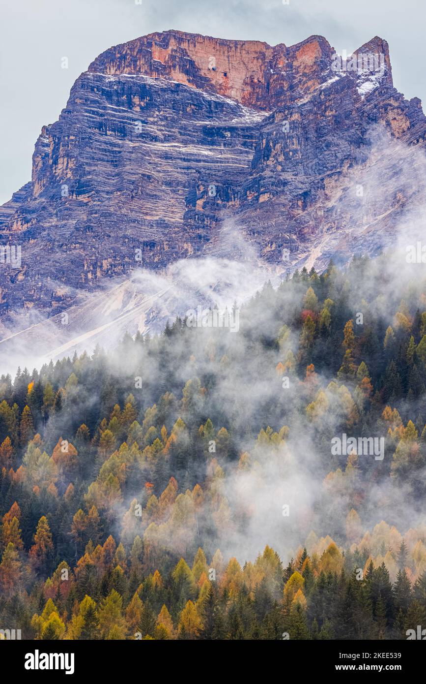 Low clouds hang between the mountains and forests with the autumn colors of October between Cortina d'Ampezzo and San Vito di Cadore, in the province Stock Photo