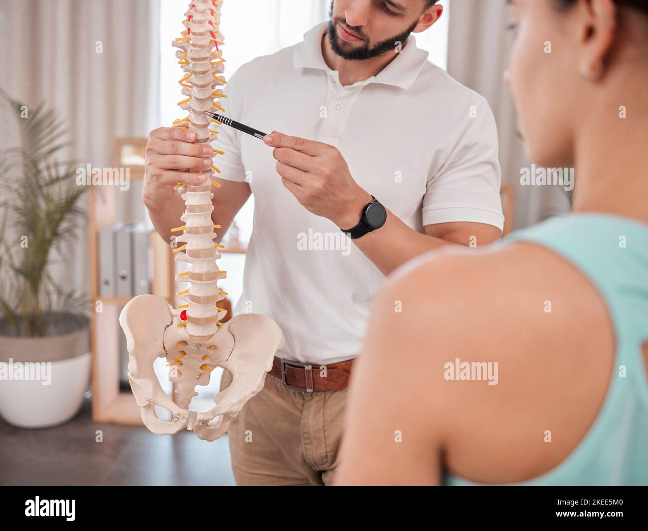 Chiropractor, spine and anatomy with a medical skeleton for advice and