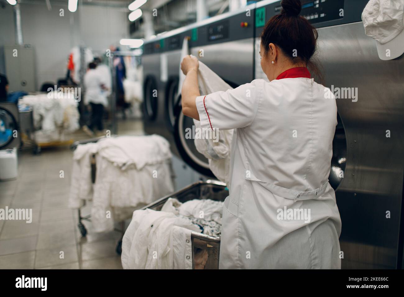 Dry cleaning clothes. Clean cloth chemical process. Laundry industrial