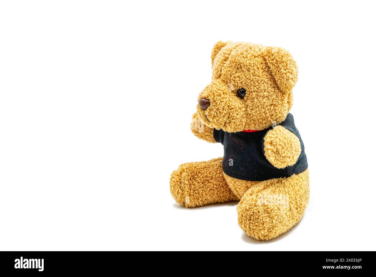A Teddy bear isolated on a white background Stock Photo - Alamy