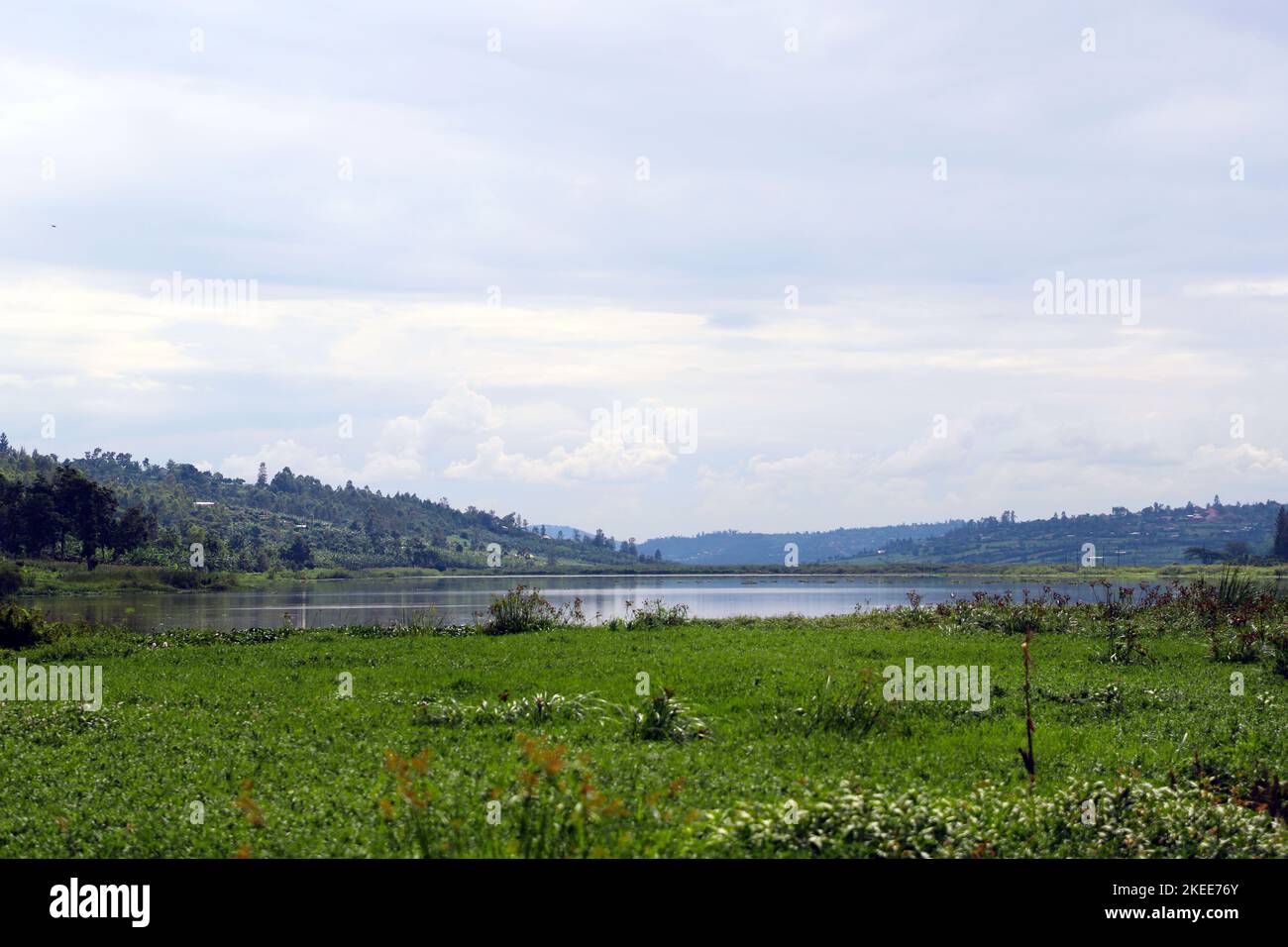 Kigali. 11th Nov, 2022. This photo taken on Nov. 11, 2022 shows a view of Masaka wetland in Kigali, Rwanda. The city of Kigali was accredited on Thursday by the Ramsar Convention as an international wetland city. Rwanda currently has one site designated as Wetlands of International Importance, with a surface area of 6,736 hectares. Credit: Ji Li/Xinhua/Alamy Live News Stock Photo