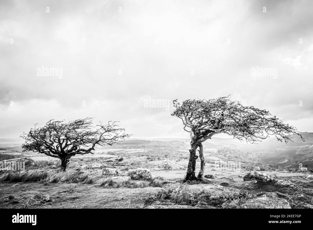 Combestone Tor, Dartmoor National Park, Devon, UK Stock Photo - Alamy
