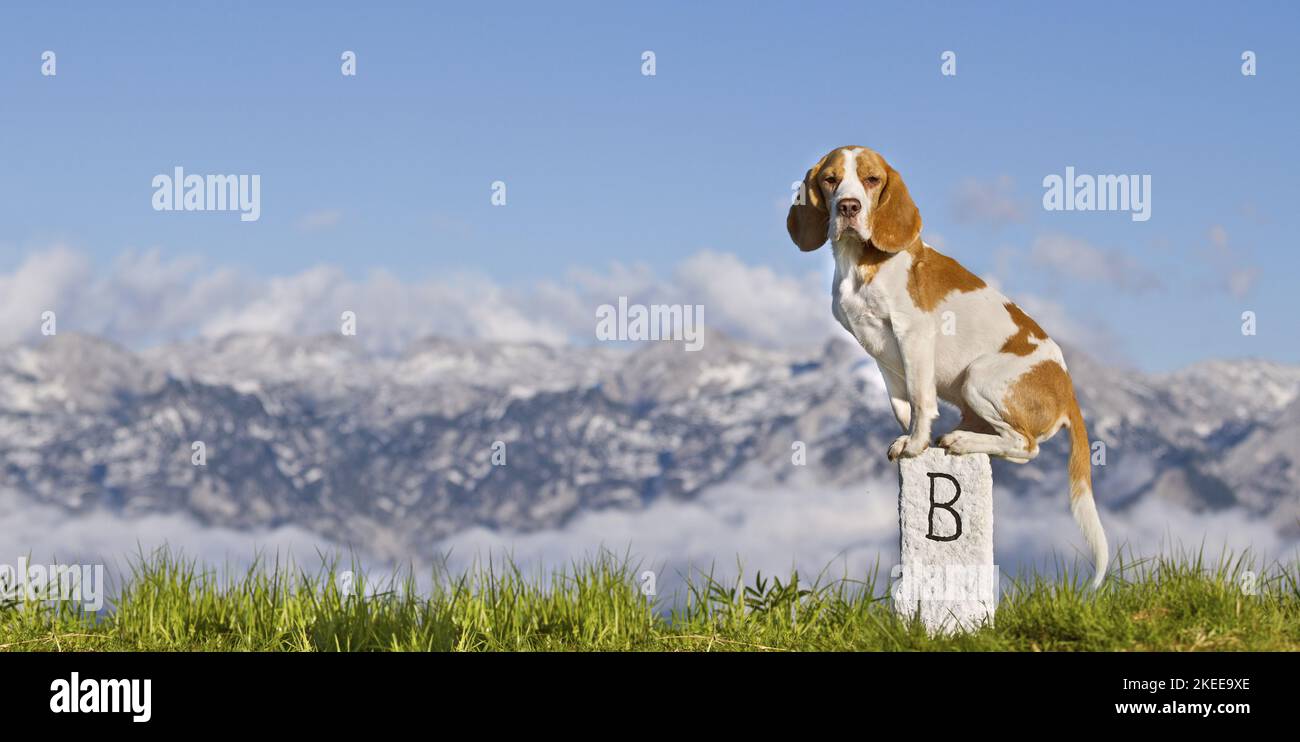 Two boundary stones hi-res stock photography and images - Alamy