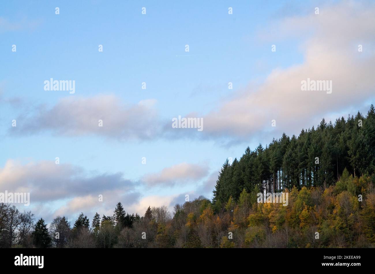 Daun, Germany. 01st Nov, 2022. Clouds move over the forest at Gemündener Maar in the late afternoon. Credit: Viola Lopes/dpa/Alamy Live News Stock Photo