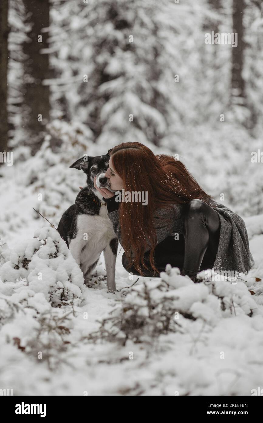 old Border Collie Stock Photo - Alamy
