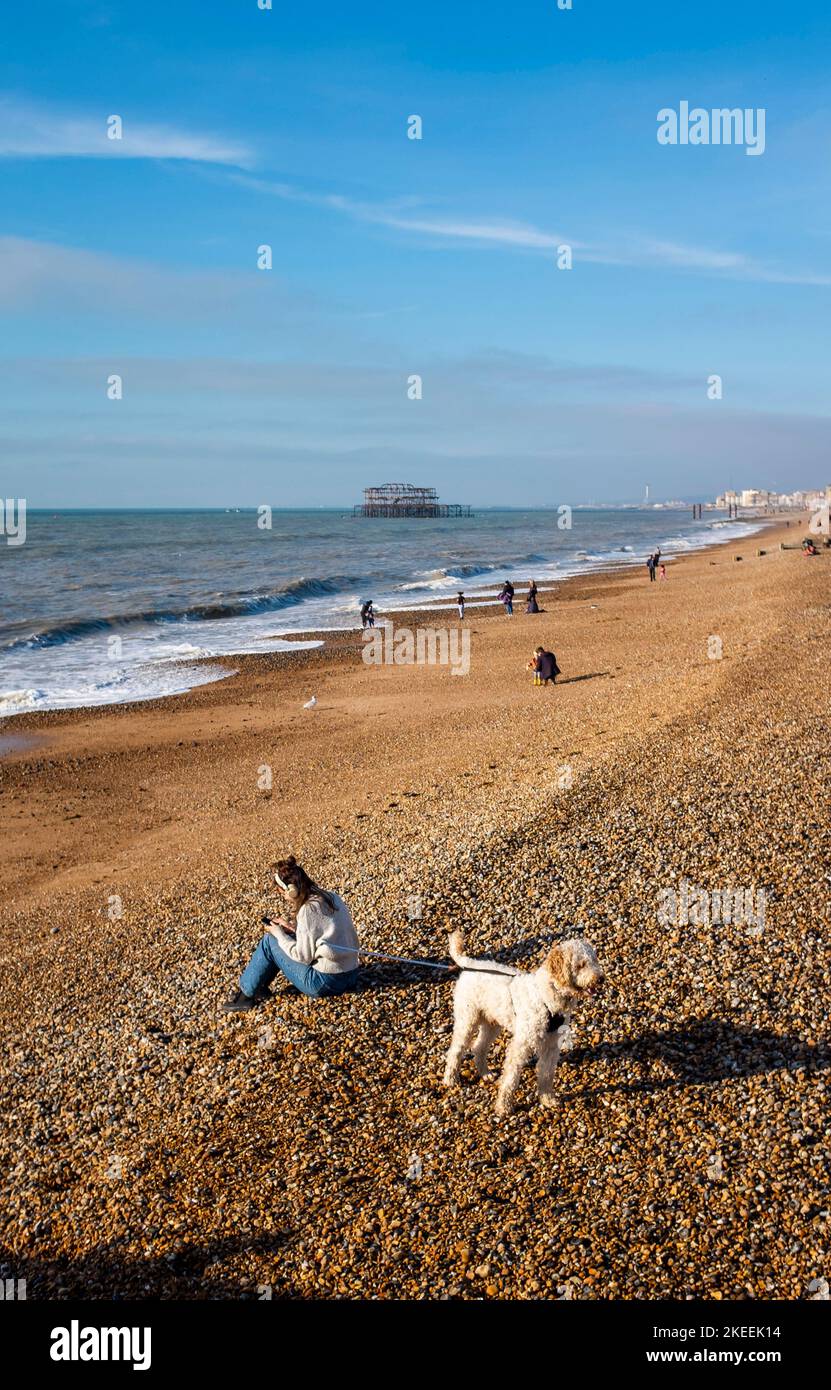 Brighton UK 12th November 2022 - Visitors enjoy a beautiful  sunny morning on Brighton beach and seafront in unusually warm temperatures for the time of year : Credit Simon Dack / Alamy Live News Stock Photo
