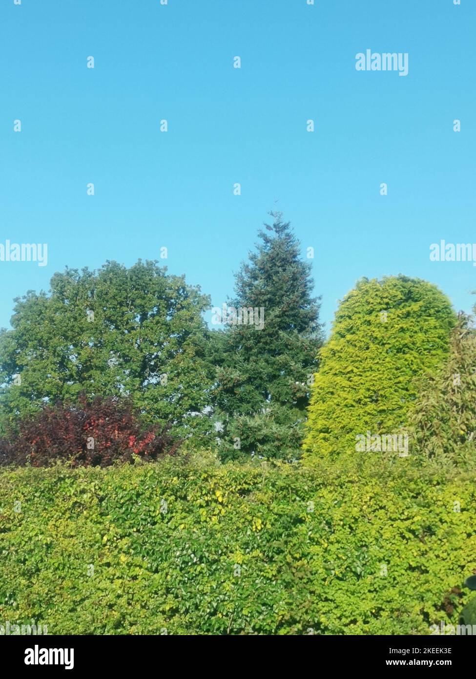 Beneath leafy trees hi-res stock photography and images - Alamy