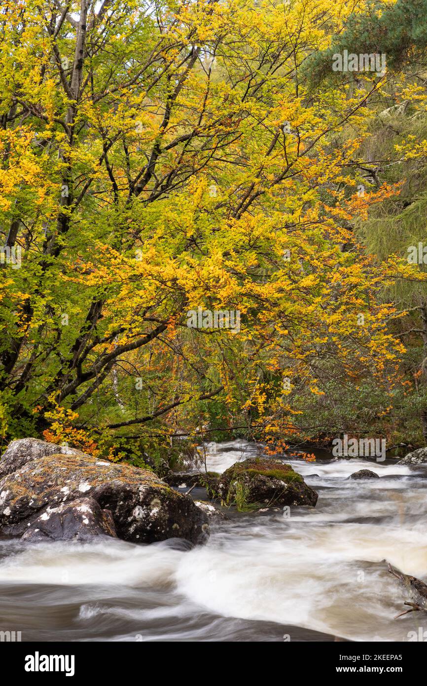 River in autumn colours, Gruinard, Scotland Stock Photo