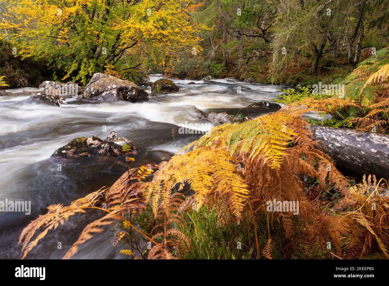 River in autumn colours, Gruinard, Scotland Stock Photo