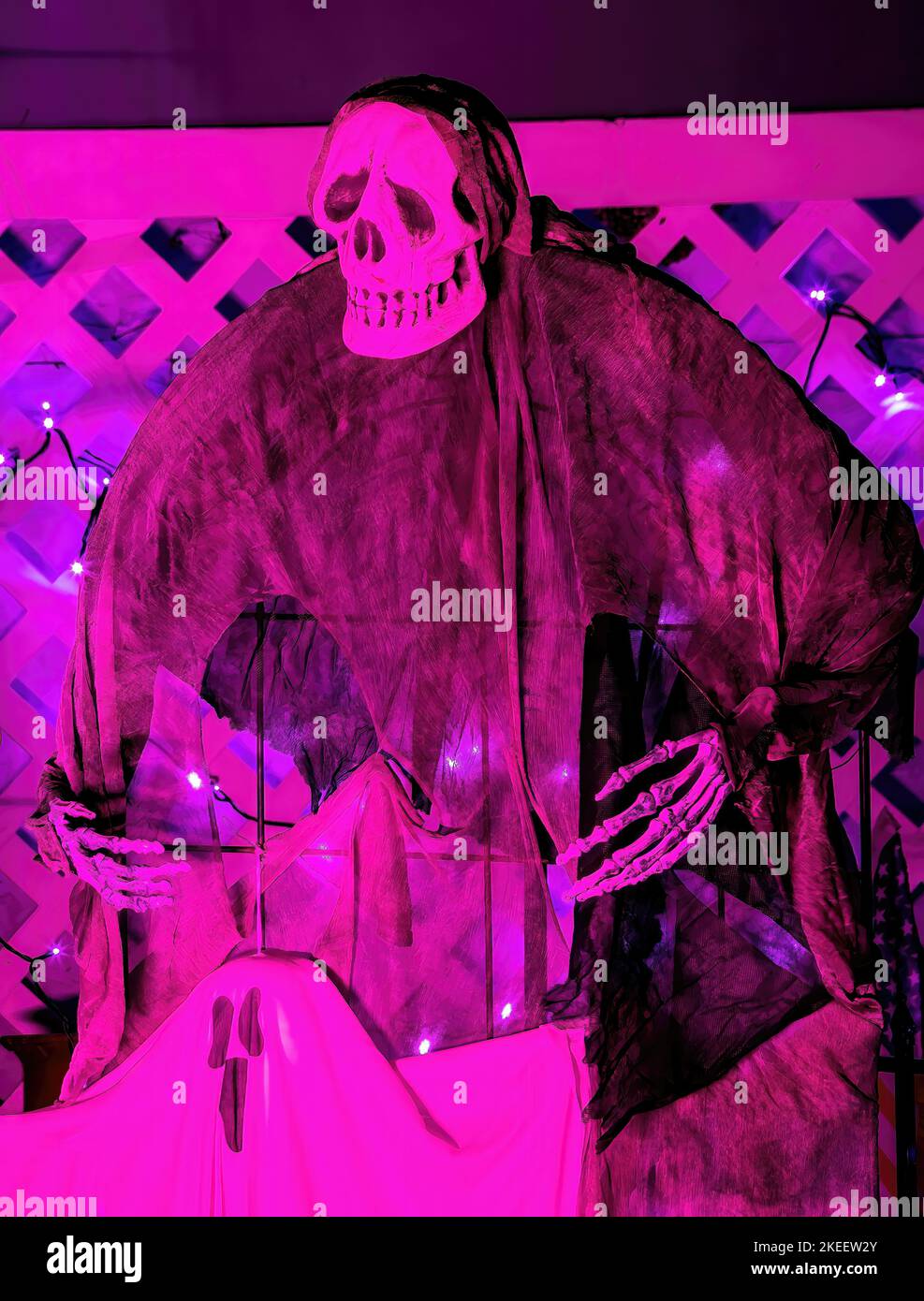 Spooky skeleton and ghost Halloween decoration with eerie pink lighting