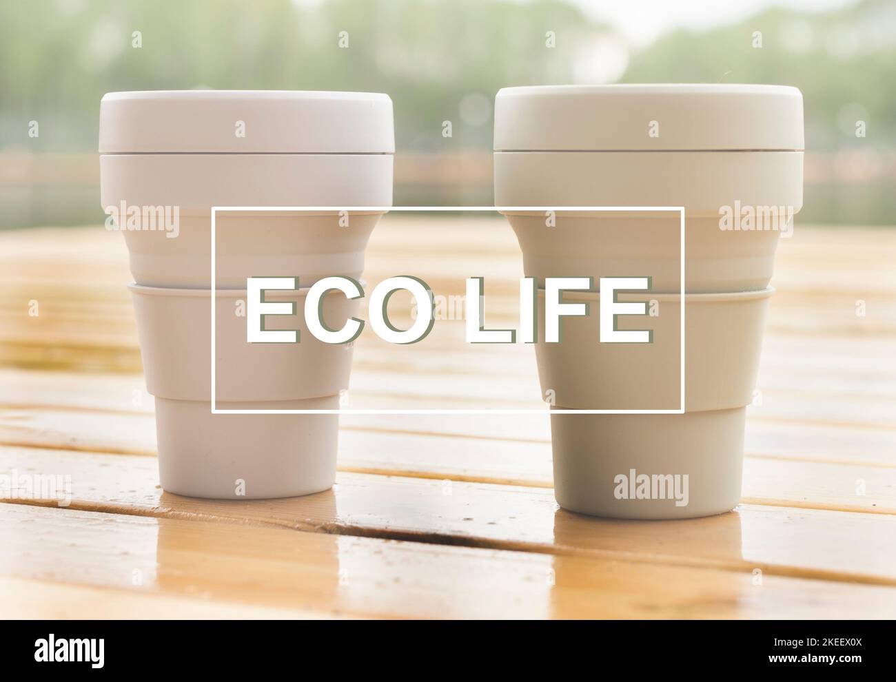 Eco life, sustainable and eco-friendly lifestyle concept. Stock Photo