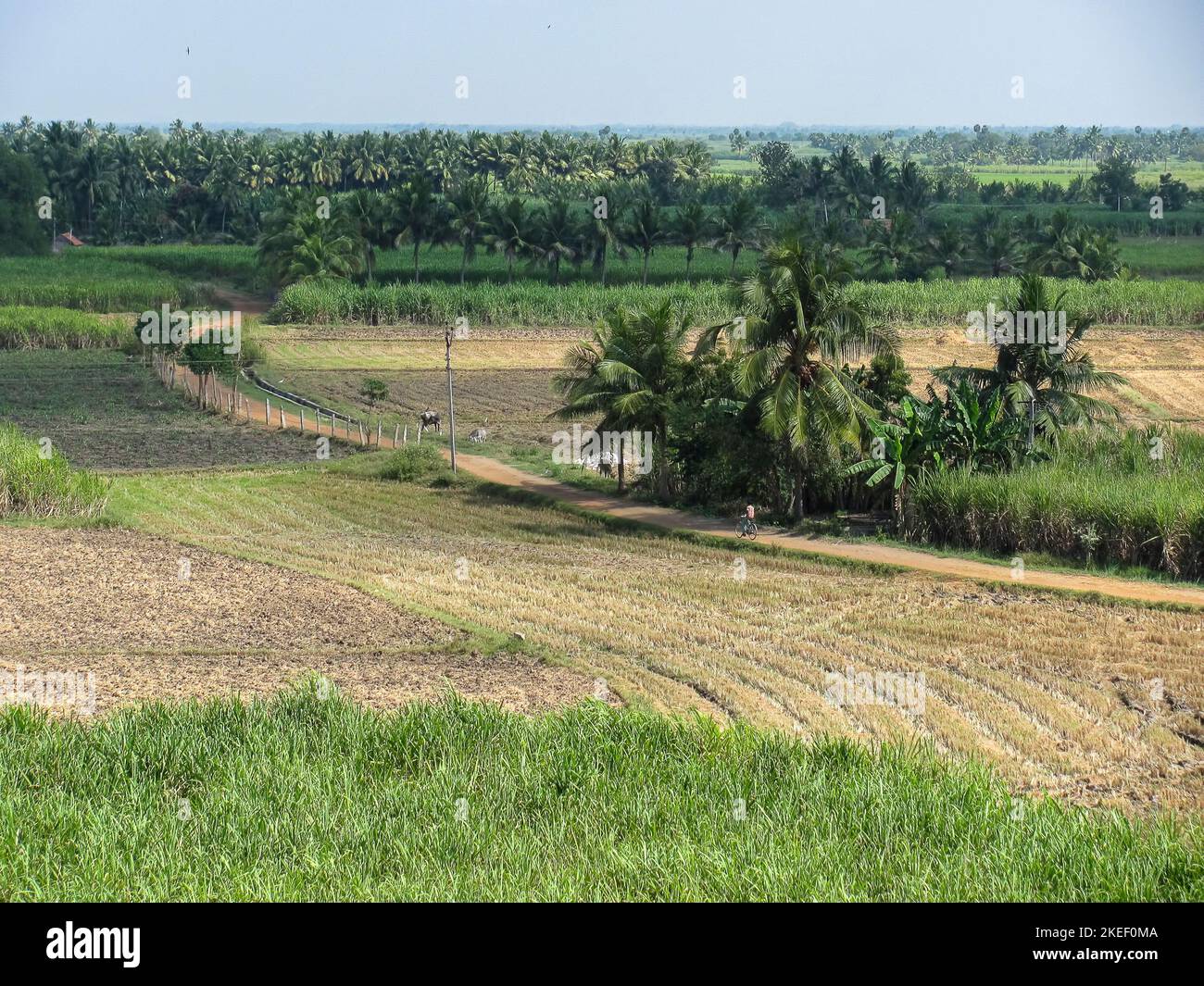 top view of a village road way Stock Photo - Alamy