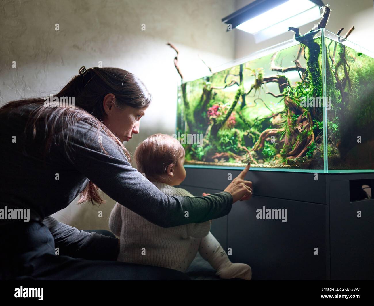 Mom shows her small baby something in the beautiful aquarium aquascape
