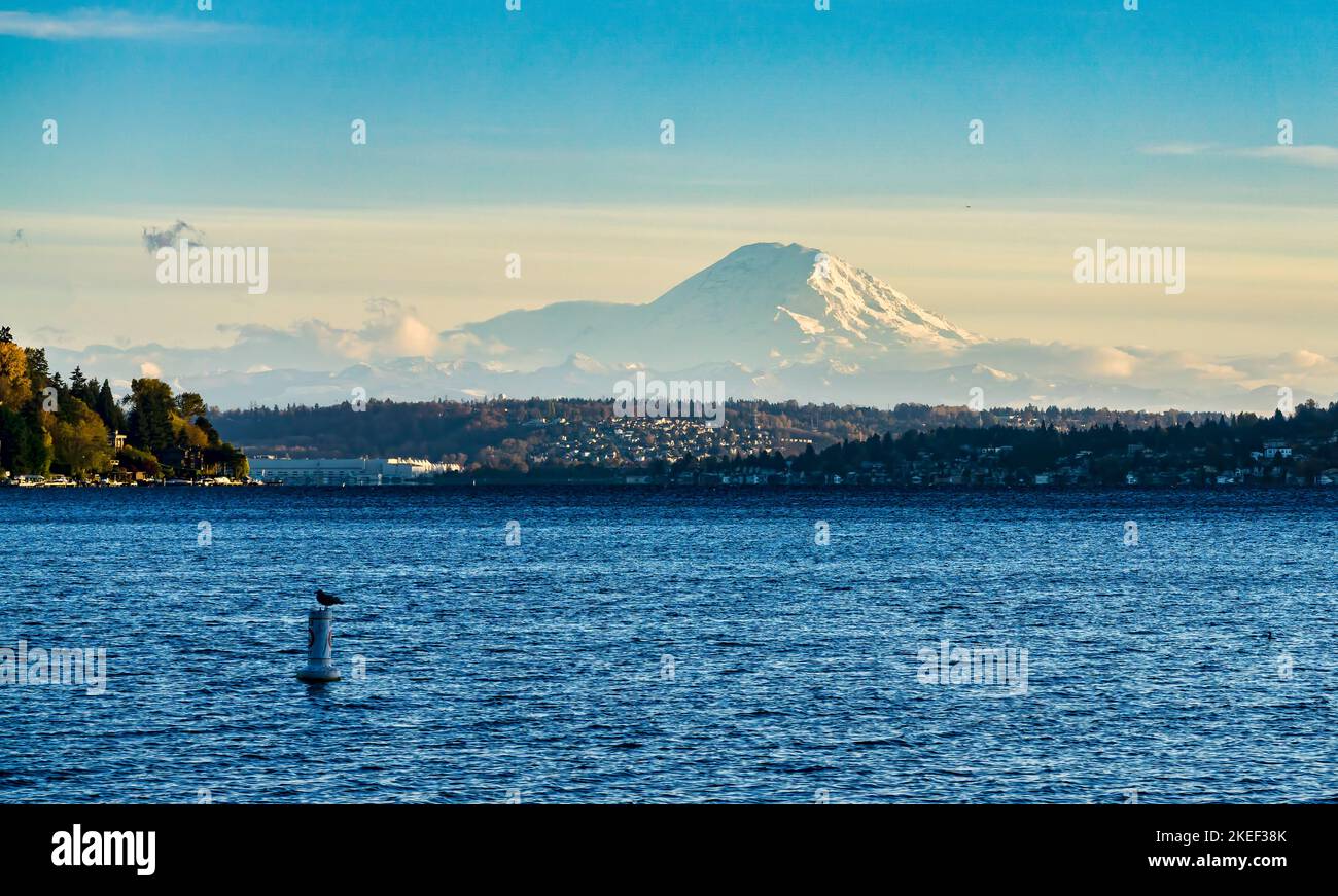 Seattle Mount Rainer Park A veiw of Mount Rainier from Seward Park in Seattle, Washington Stock ...
