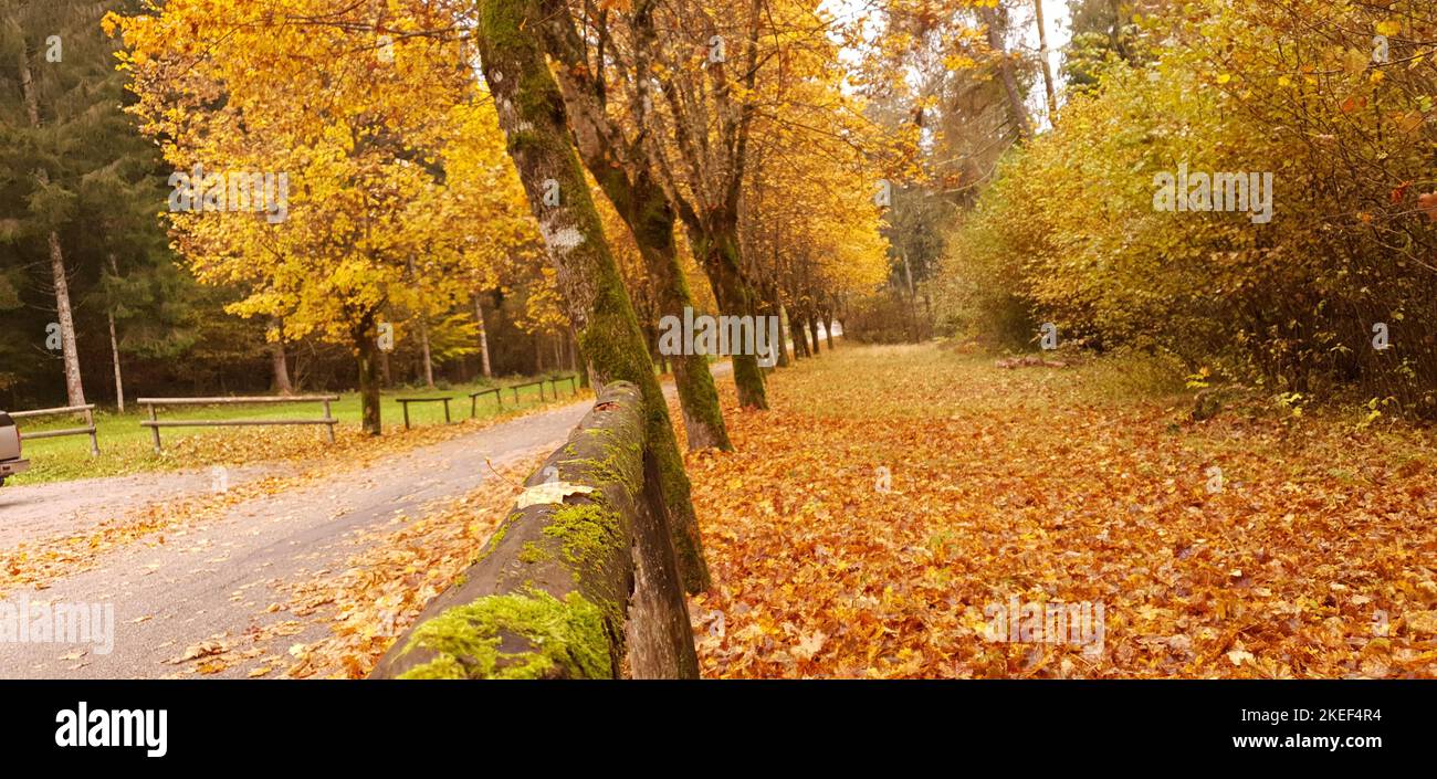 autumn landscape with its beautiful colors Stock Photo - Alamy