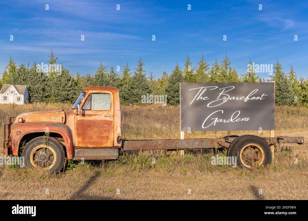 An old truck advertising the barefoot gardens Stock Photo