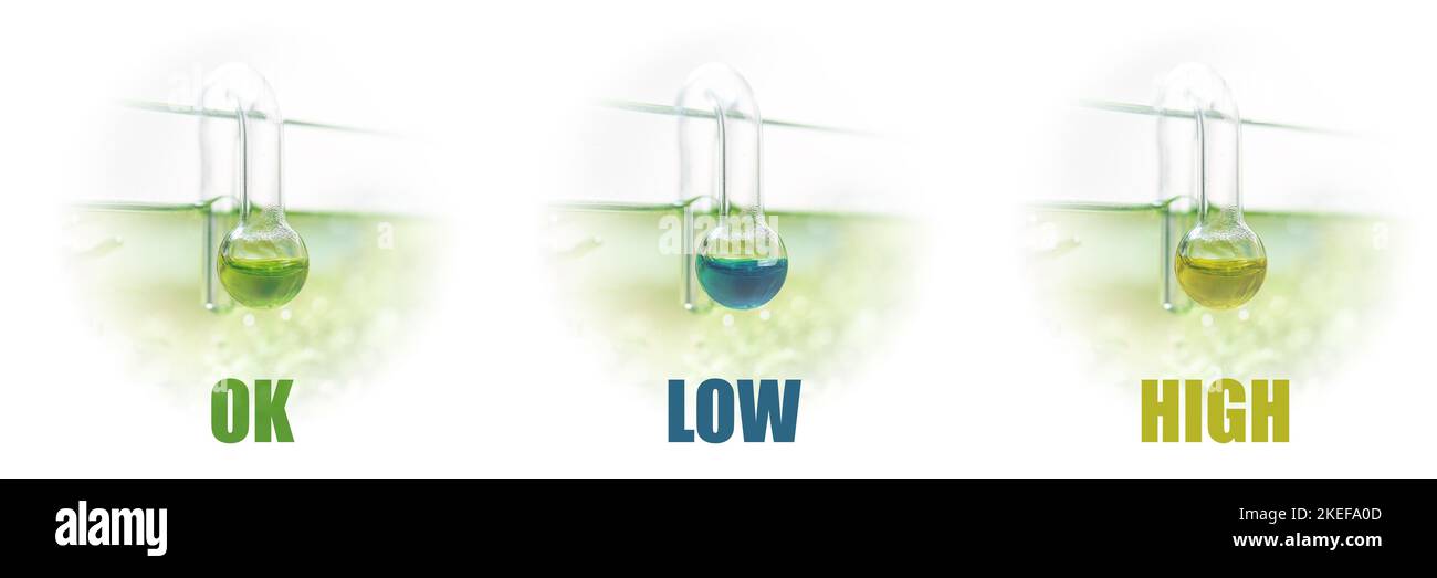 CO2 level indicator in aquarium. Glass hangon aquarium drop checker