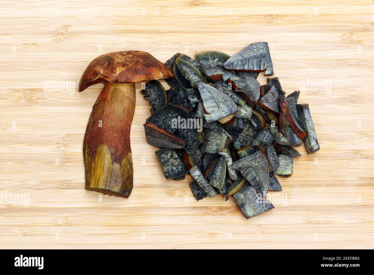 Half and sliced into pieces edible mushroom Neoboletus luridiformis, commonly known as scarletina bolete. All parts of the mushroom turn blue when cut. Stock Photo
