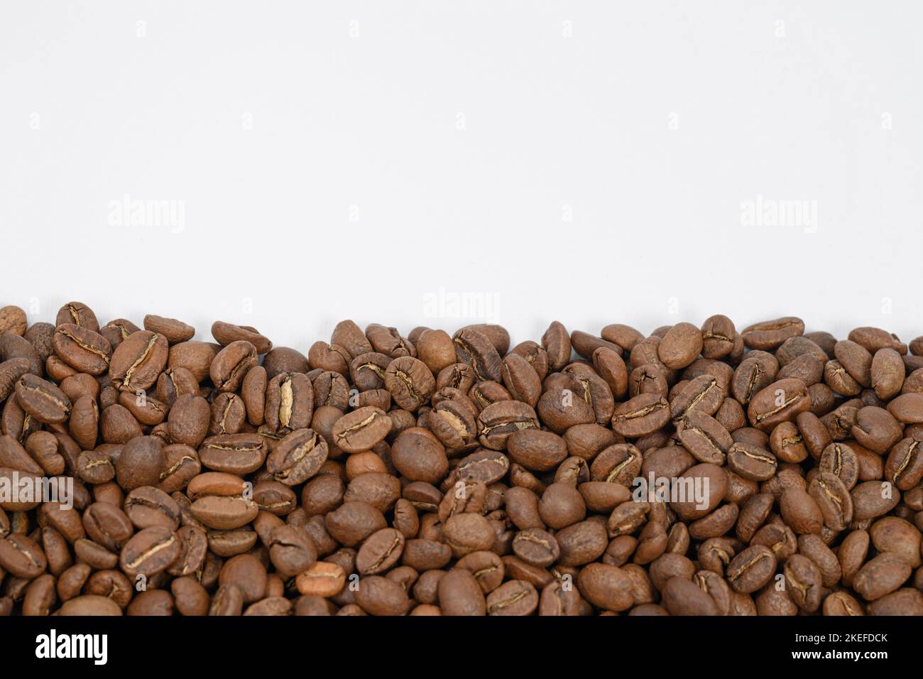 Coffee beans laid out in one wide row on a white background, place for ...
