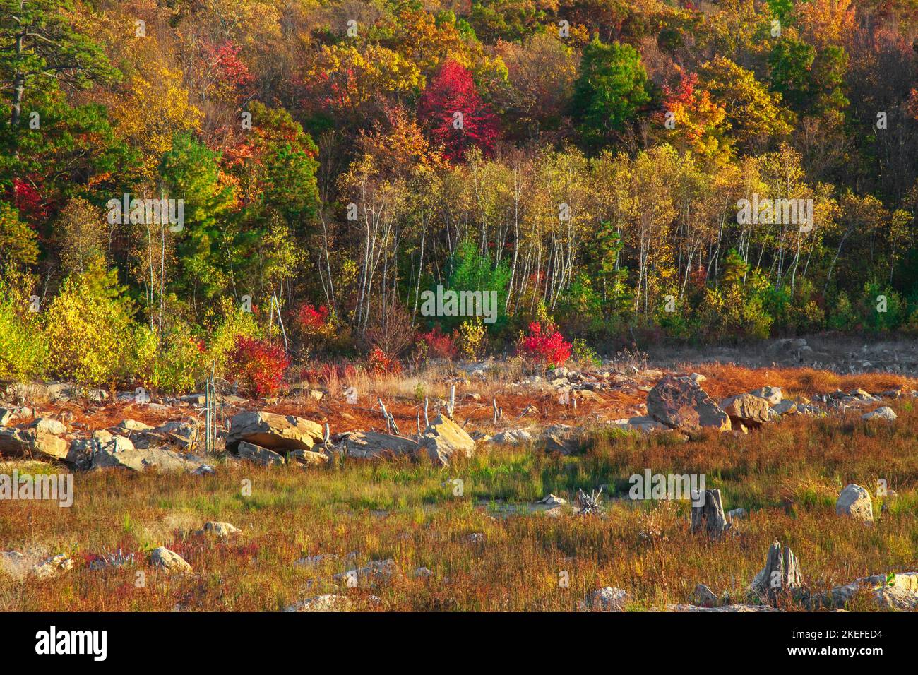 The lake bed of the former artificial impoundment Lower Lake Success in Delaware Water Gap National Recreation Area, New Jersey. Once part of the Blue Stock Photo