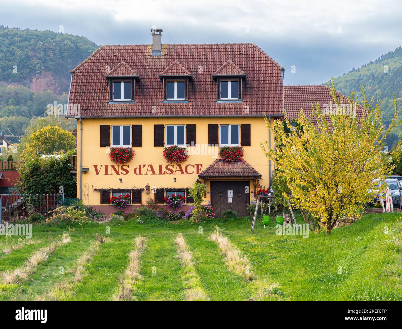 Obermorschwihr, France - October 11, 2022: A house in Obermorschwihr with inscription - in english translation -Alsatian wines Stock Photo